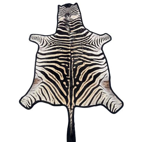 Felted Real Zebra Skin Rug # 78 (Tail is 28") Size: 7.5x5.2 feet