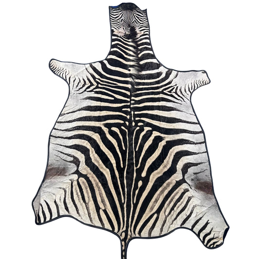 Real Zebra Skin Rug # 80 Felt and leather trim (Tail is 31") Size: 9x6 feet