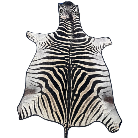 Real Zebra Skin Rug # 80 Felt and leather trim (Tail is 31") Size: 9x6 feet