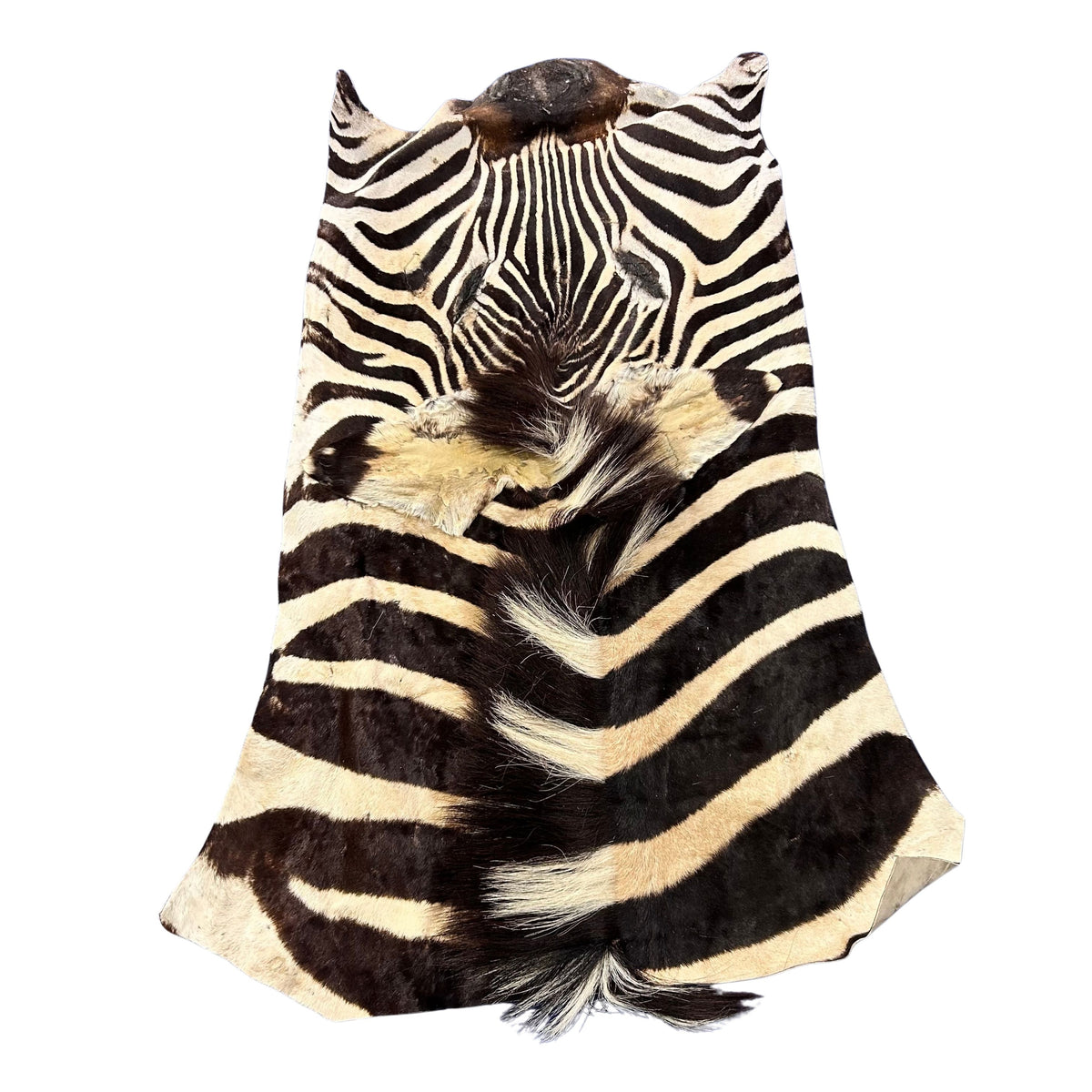 Real Zebra Face Leather - Size: 36x21"