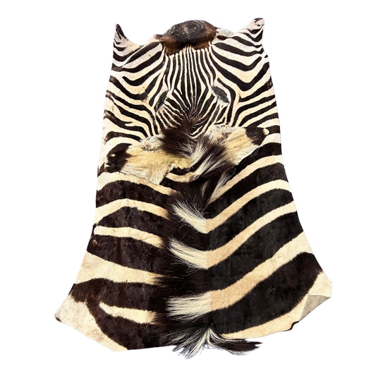 Real Zebra Face Leather - Size: 36x21"