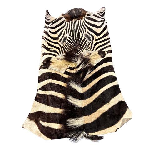 Real Zebra Face Leather - Size: 36x21"