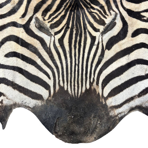 Real Zebra Face Leather - Size: 36x21"