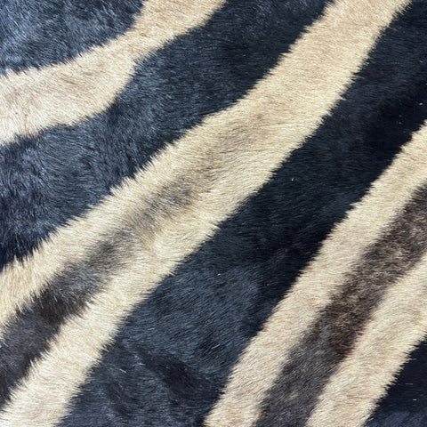 Real Zebra Skin Pillow Cover 17X17" #6