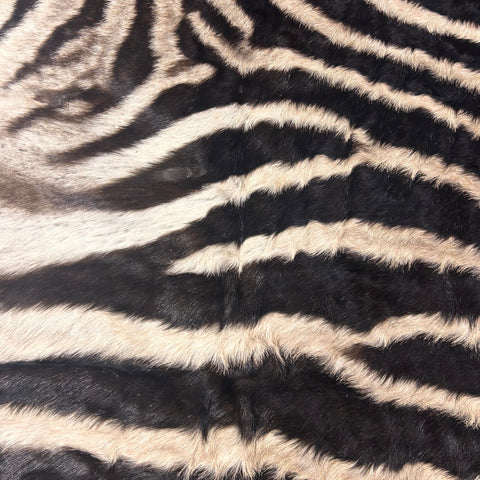 Real Zebra Skin Rug Hide # 18 (felted) Size: 7X 5.3 feet -FREE PILLOW CASE