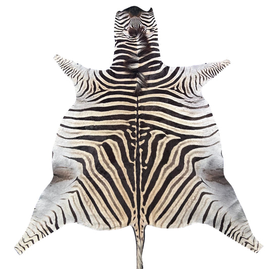 Real Zebra Skin Rug Hide # 52 HUGE Size: 9X7 feet Genuine Burchells Zebra Hide