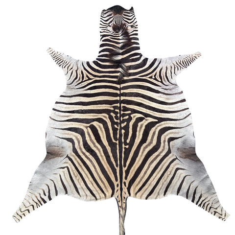 Real Zebra Skin Rug Hide # 52 HUGE Size: 9X7 feet Genuine Burchells Zebra Hide