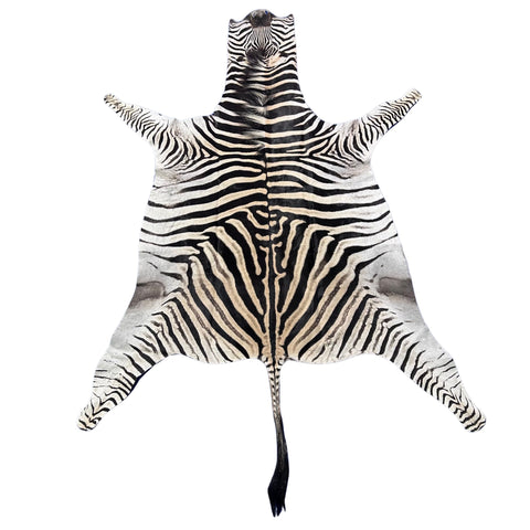 Zebra Skin Rug # 65 (Tail is 25") Size: 7x6 feet