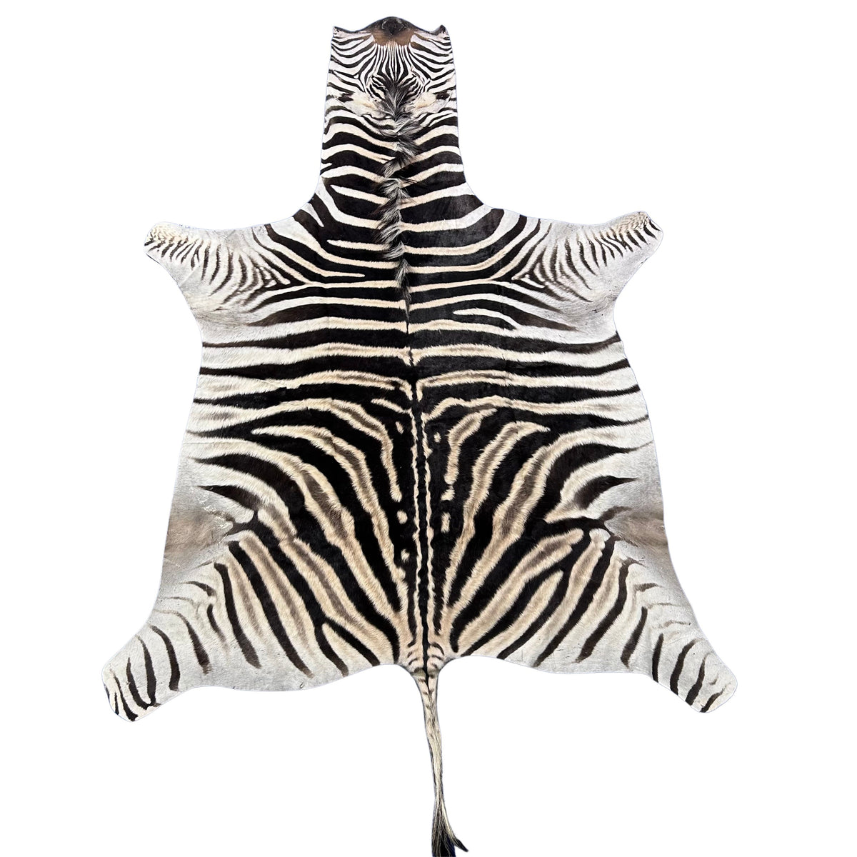 Zebra Skin Rug # 69 (SMALL/ 1 stitch/Tail is 20") Size: 7x5 feet