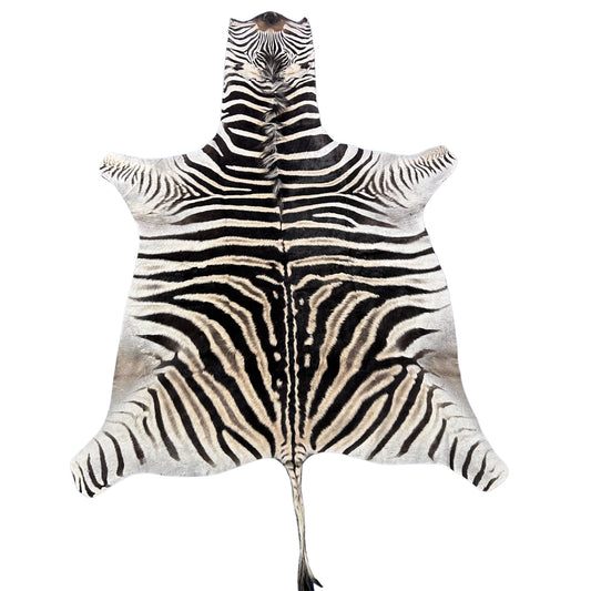 Zebra Skin Rug # 69 (SMALL/ 1 stitch/Tail is 20") Size: 7x5 feet