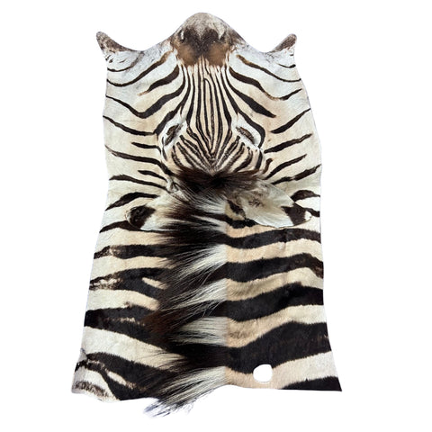 Zebra Face # 70 Size: 34x19"