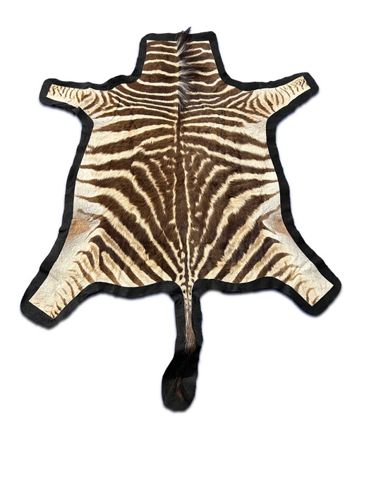 Juvenile Zebra Hide # 7 (Felted/ no head/Tail is 18") Size: 52x51"