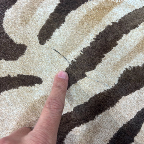 Genuine Zebra Cowhide Rug (faded / has a small hole) Size: 8x6.5 feet Z-115