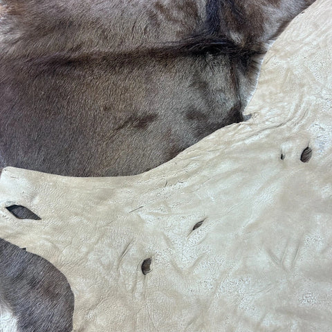 Wildebeest Skin (Holes and Scars/No Tail) Size: 49x45" D-944