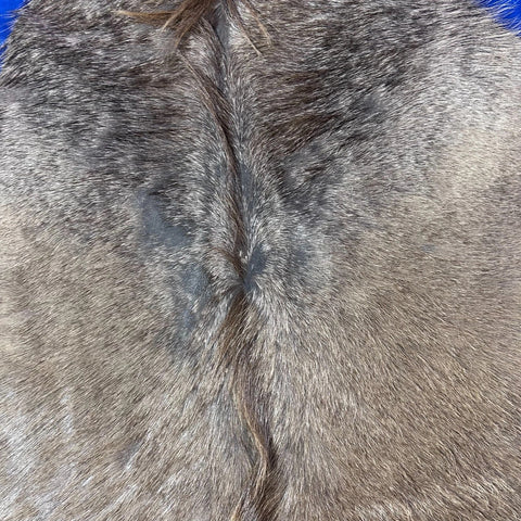 Kudu Skin Rug (Tail is 14") Real Greater Kudu Antelope Hide Size 69x59" D-964