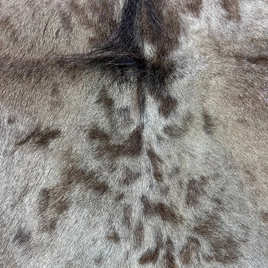 Wildebeest Skin (Holes and Scars/No Tail) Size: 49x45" D-944
