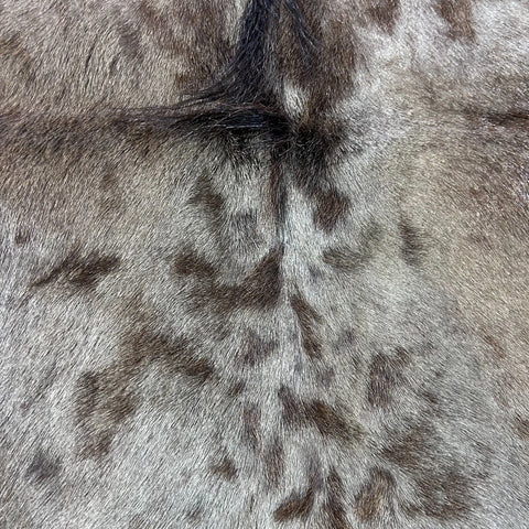 Wildebeest Skin (Holes and Scars/No Tail) Size: 49x45" D-944