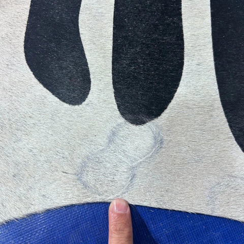 Zebra Cowhide Rug (a few marks and beige in the neck/ fire brand) 7x6 feet Y-083