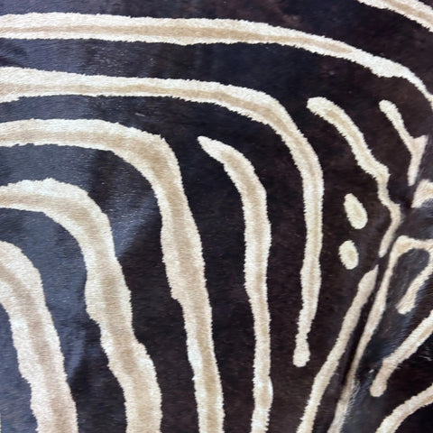 Genuine Zebra Cowhide Rug (brown inner stripes) Size: 7x6 feet Z-148