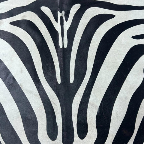 Zebra Cowhide Rug (a few marks and beige in the neck/ fire brand) 7x6 feet Y-083