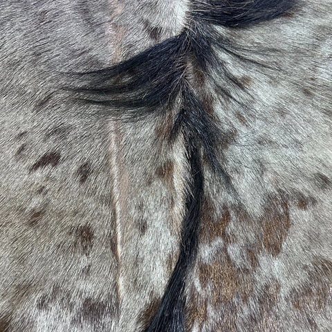 Wildebeest Skin (holes and scars/No tail ) Size: 60x56" D-943