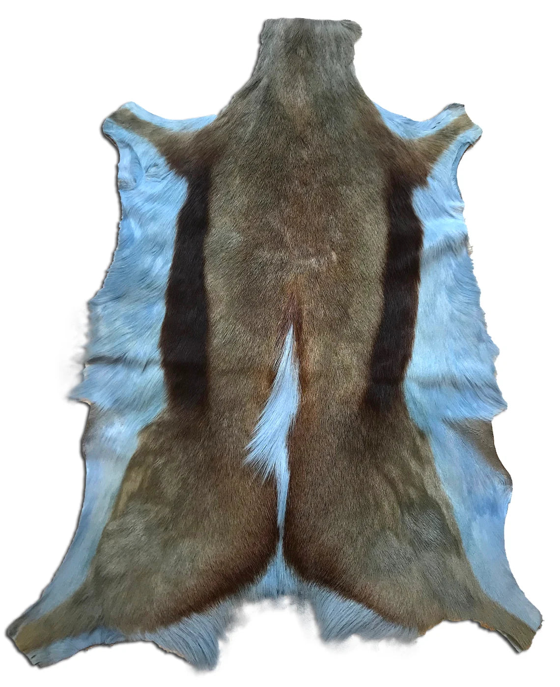 Springbuck Blue Dyed Blue Springbok Skin – Cowhides USA