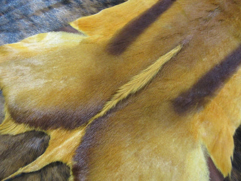 Dyed Spice Orange African Springbok Skin African SPRINGBOK Skin African antelope - Approx. Size: 36X21", Deer Hide, Deer Skin, Buck Skin