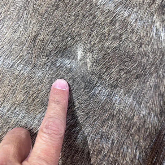 Male Nyala Skin - Deer Leather Rug -Deer skin for pillows, wallets, hand bags, deer floor rug - Male Nyala Hide - Nyala Antelope Skin D-987