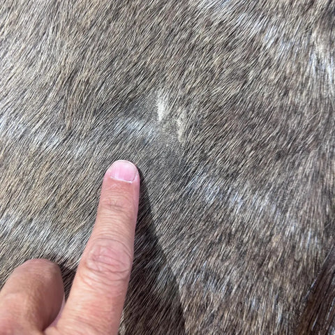 Male Nyala Skin - Deer Leather Rug -Deer skin for pillows, wallets, hand bags, deer floor rug - Male Nyala Hide - Nyala Antelope Skin D-987