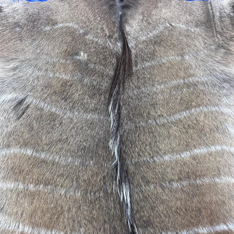 Male Nyala Skin - Deer Leather Rug -Deer skin for pillows, wallets, hand bags, deer floor rug - Male Nyala Hide - Nyala Antelope Skin D-987