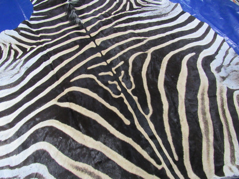 Zebra Skin Rug (Tail is 28"/One scar/wide neck) Size: 7.5x7 feet # 123