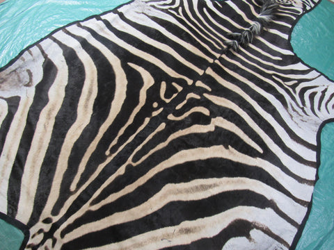 Felted Zebra Skin # 114 (beautiful but has a few scratches/Tail is around 36") Size: 8.5x7 feet