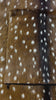 Axis Deer Pillow Size: 16" X 16" Axis Pillow