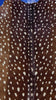 Axis Deer Print Cowhide Rug Size: 7.2x6.7 feet D-327
