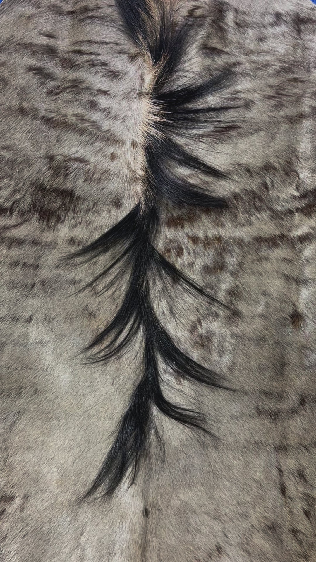 Wildebeest Skin Rug (Tail is 36") Size: 63x57" CD-403