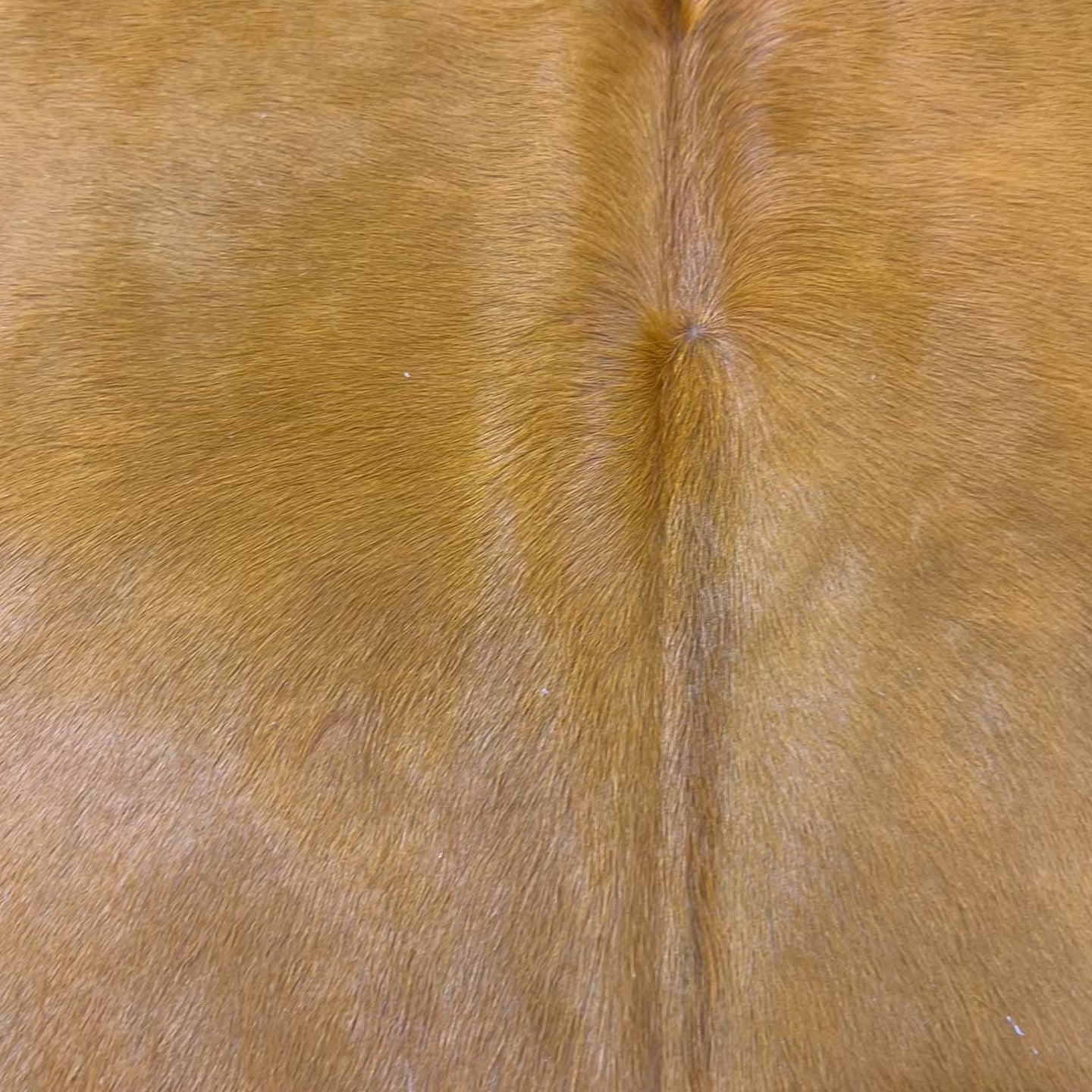 Dyed Orange Cowhide Rug Size: 8x7 feet Y-078