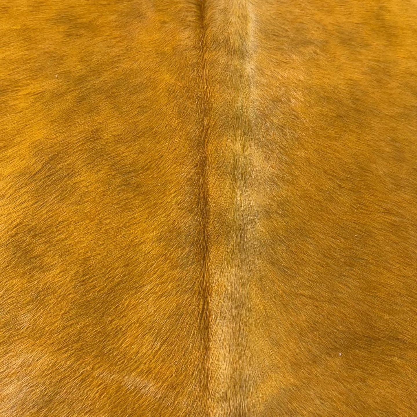 Dyed Orange Cowhide Rug Size: 7.5x7 feet Y-080