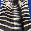 Zebra Skin Rug # 66 (Tail is 29") - SUPER A GRADE Size: 8x6.2 feet