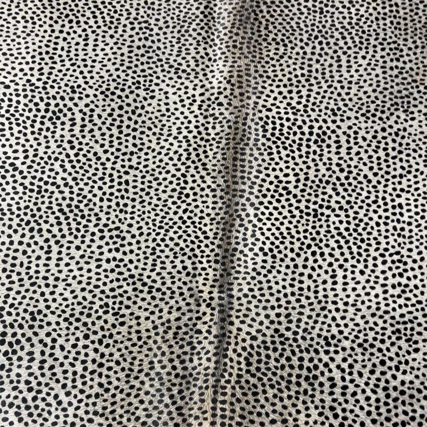 Cheetah on Light Grey Background Cowhide Rug Size: 7x6 feet Z-280