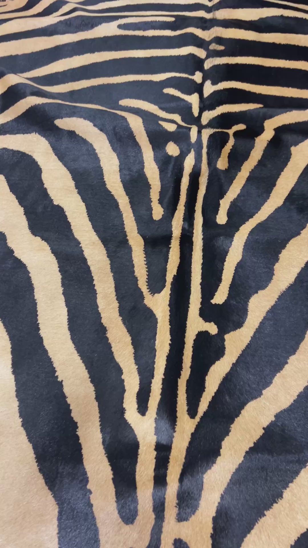Genuine Zebra Print Cowhide Rug (beige background) Size: 7x6 feet Z-264