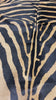 Genuine Zebra Print Cowhide Rug (beige background) Size: 7x6 feet Z-264