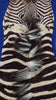 Real Zebra Skin Rug Size: 7.5x5.5 ft (Tail is about 25"/Across belly 50") # 1