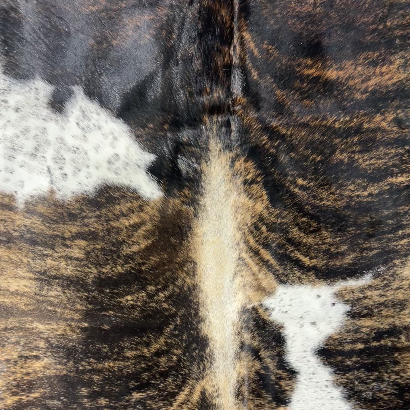 Gorgeous Dark Brindle Tricolor Cowhide Rug Size: 8.2x7 feet D-664