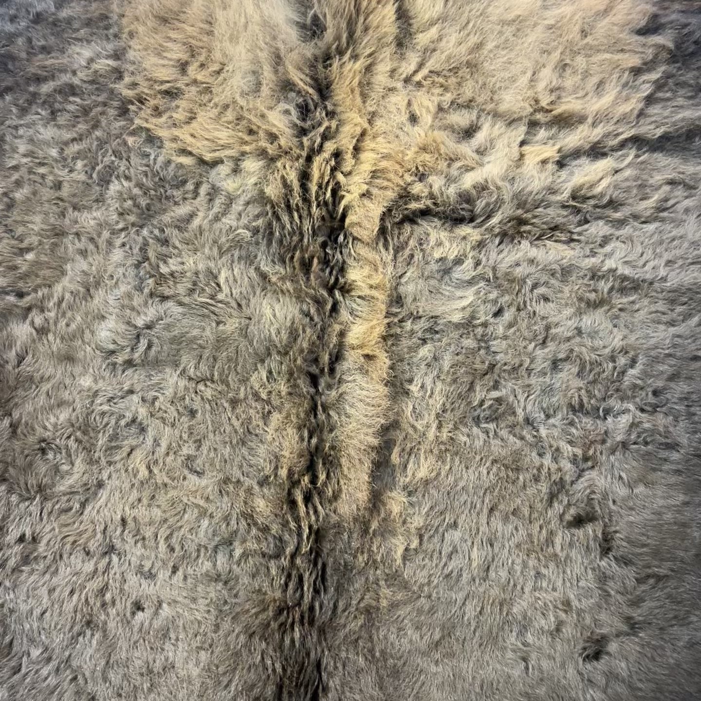 Bison Skin (NICE MANE! Super long fur around the neck, Nice tail) Size: 8x7 feet # 101