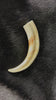 Warthog tusks, Pig Tusk, Polished Warthog Tusk - Price is for 1 tusk