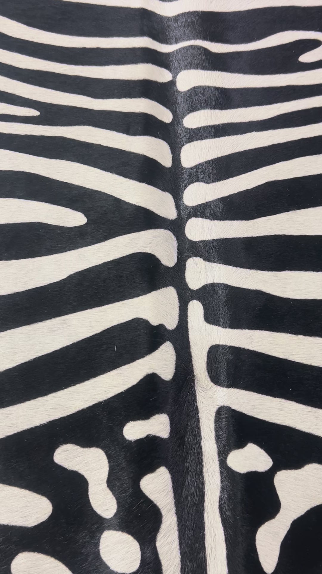 African Zebra Print Cowhide Rug Size: 7x6 feet Z-239