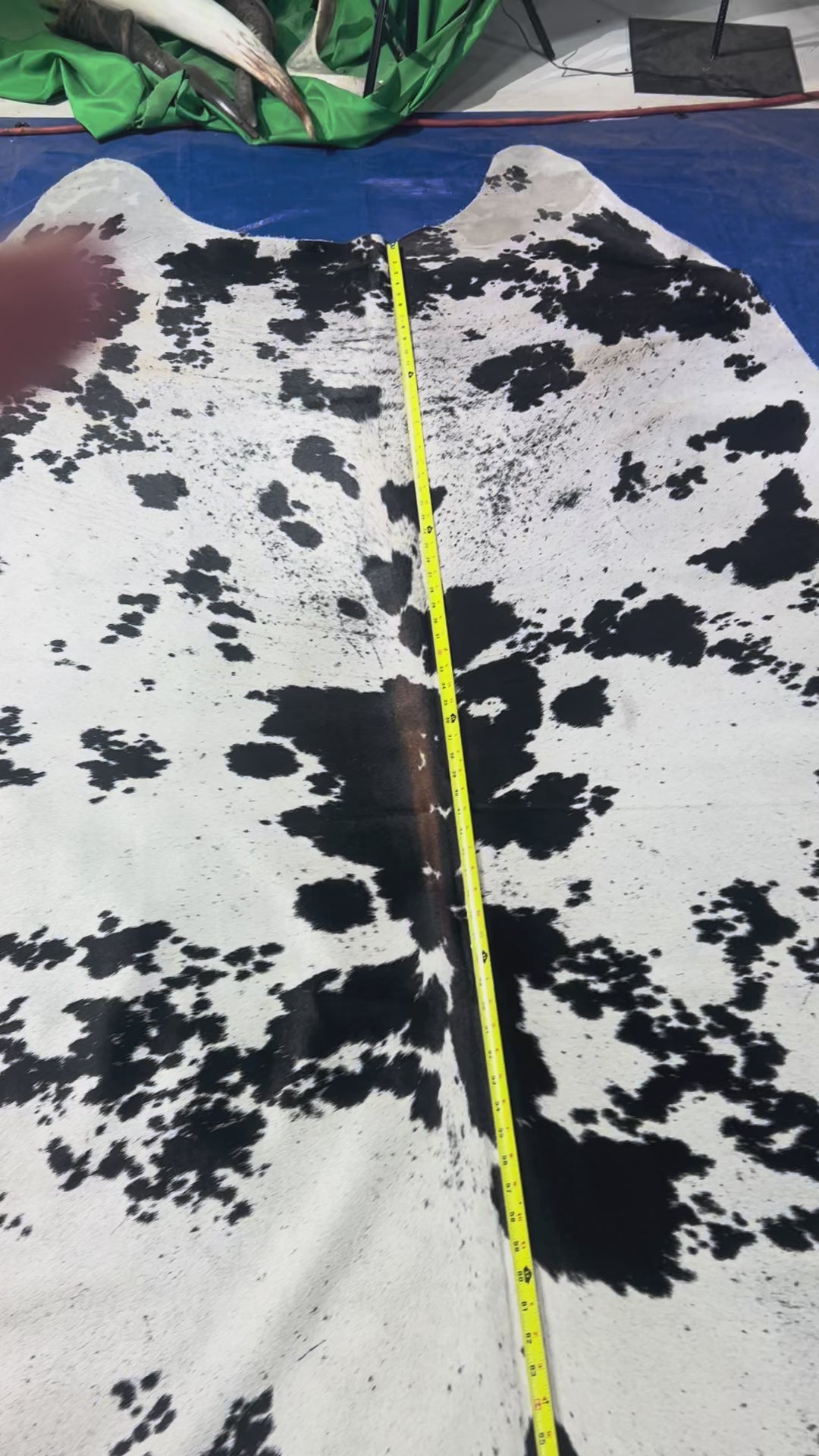 HUGE Speckled Cowhide Rug (some brown spots mixed with the black) Size: 8.7x7 feet D-296