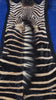 Real Zebra Skin Rug hide # 15 (felted) HUGE size: 8 X 6.5 feet (Brand New)