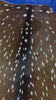 Top Grade Axis Deer Skin (no holes) Size: 45x44" Axis-730