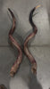 Set of Giant Record Size Kudu Horns, African Antelope Outer Horns Polished LARGE Size: Approx. 46" (measured straight)